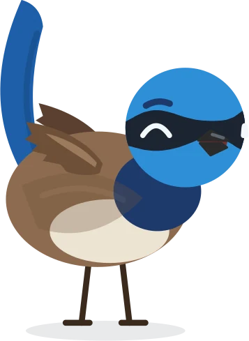 Echo, a superb fairy-wren with a bright blue head and black mask